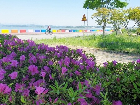 사천시 무지갯빛 해안도로, 인생샷 핫플레이스로 떠오른다