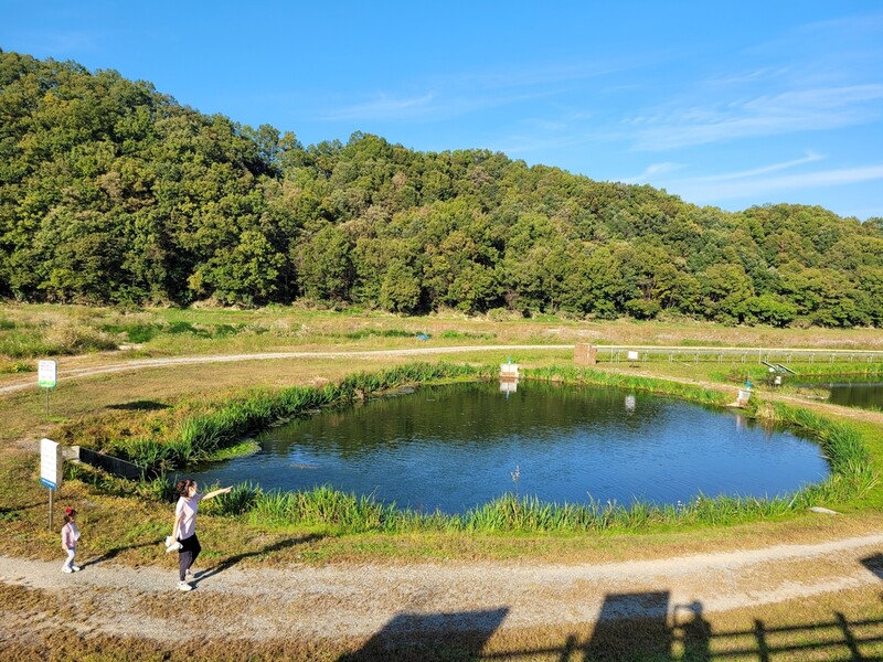 옥천군, 금강지류가 본류와 만나는 '서화천생태습지'