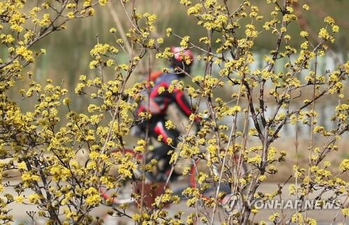 3월 첫 주말 전국 유원지·관광지, 상춘객 발길 이어져