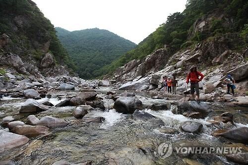울진 왕피천·불영계곡 국립공원 지정 추진