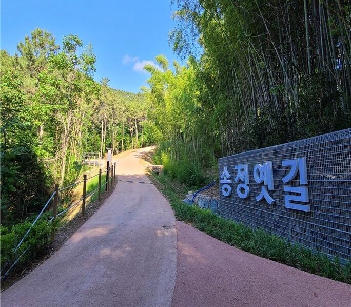 부산 '송정옛길' 바다로 이어진다…올해 2단계 복원사업