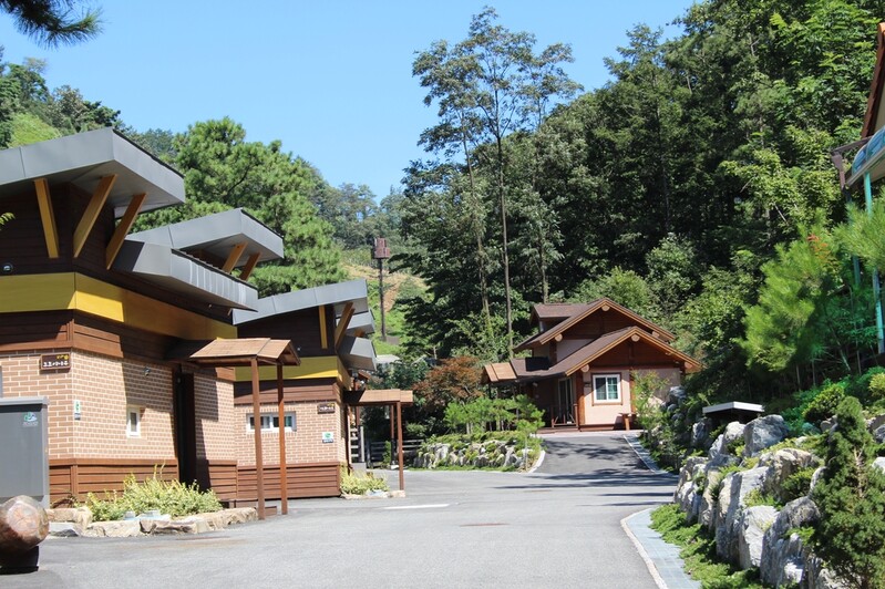 괴산 성불산 산림휴양단지 16일 운영 재개