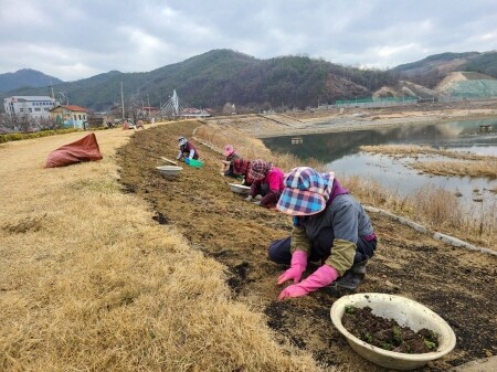 산청 동의보감촌 가는 길 봄맞이 꽃단장 '활기'