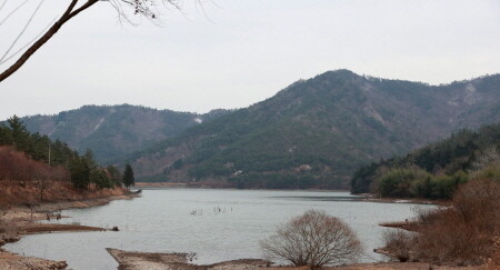 보성군, 오봉산 해평호수에 사계절 꽃 피는 경관 숲길 조성