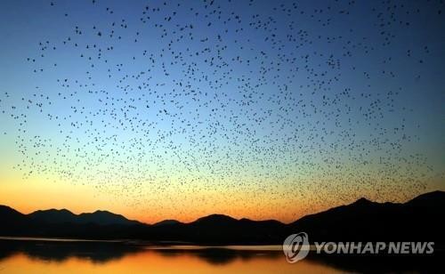 "주남저수지·화포천·우포늪 묶어 낙동강 생태관광벨트 조성"