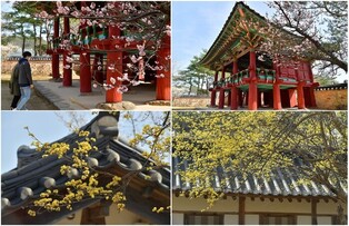 UNESCO heritage in spring