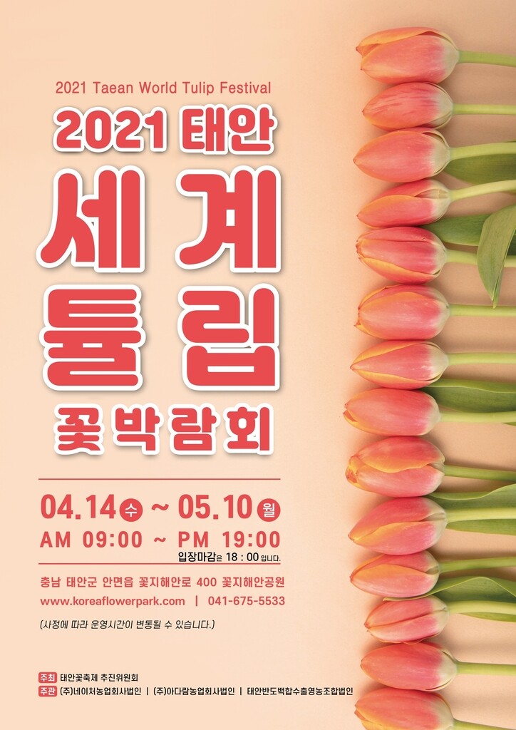 '봄꽃의 향연' 태안 안면도서 내달 14일 튤립꽃박람회 개막