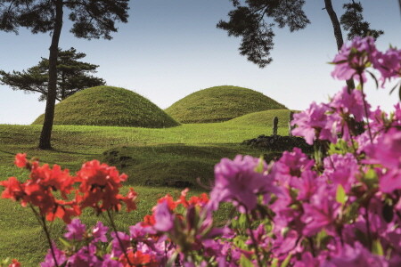 합천군, '7가지 색깔 걷기 챌린지 행사' 추진