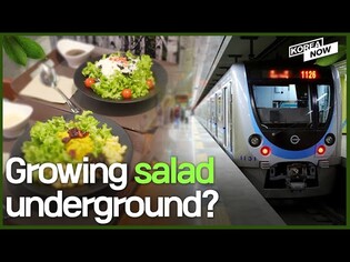 The 'Future of farming', Metro Smart Farm