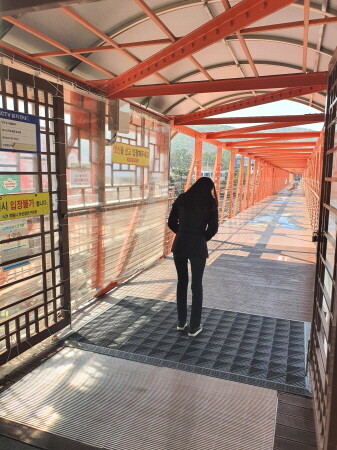 창원시, 저도 콰이강의 다리 스카이워크, 이제 덧신 벗고 건너요