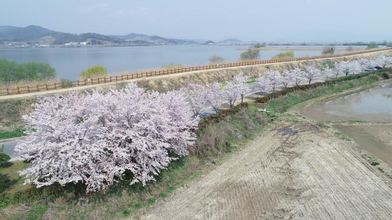 창원 주남저수지 생태탐방로 109일 만에 재개방