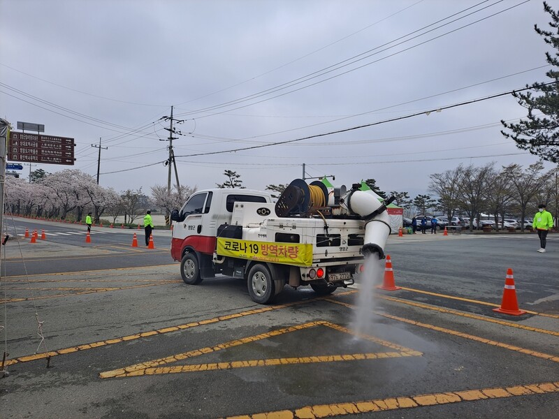 영암 100리 벚꽃길 내달 18일까지 통제…'드라이브 스루'만 허용