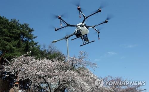 강릉시 대형 드론 띄워 경포호 벚꽃길 거리두기 감시