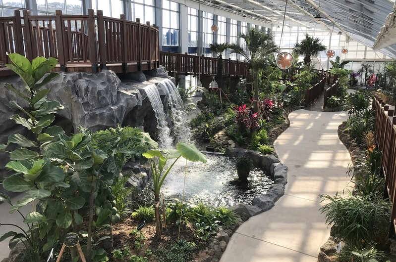 "코로나 블루 치유하세요" 보령자연학습식물원 문 열어