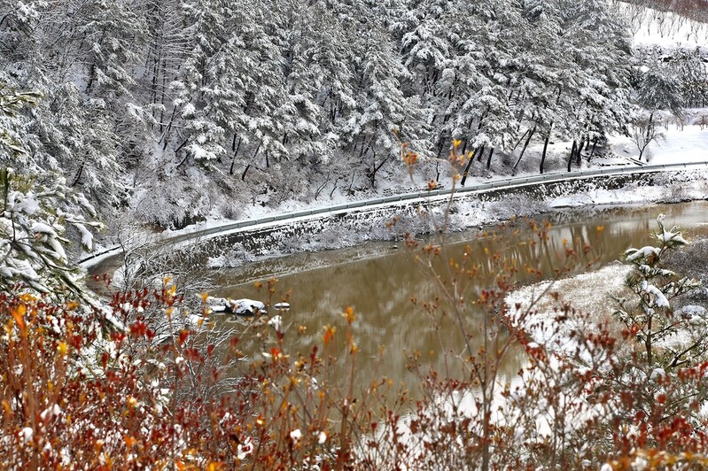 [걷고 싶은 길] 숲과 물이 곱고 역사가 숨쉬는 척야산수목원 길