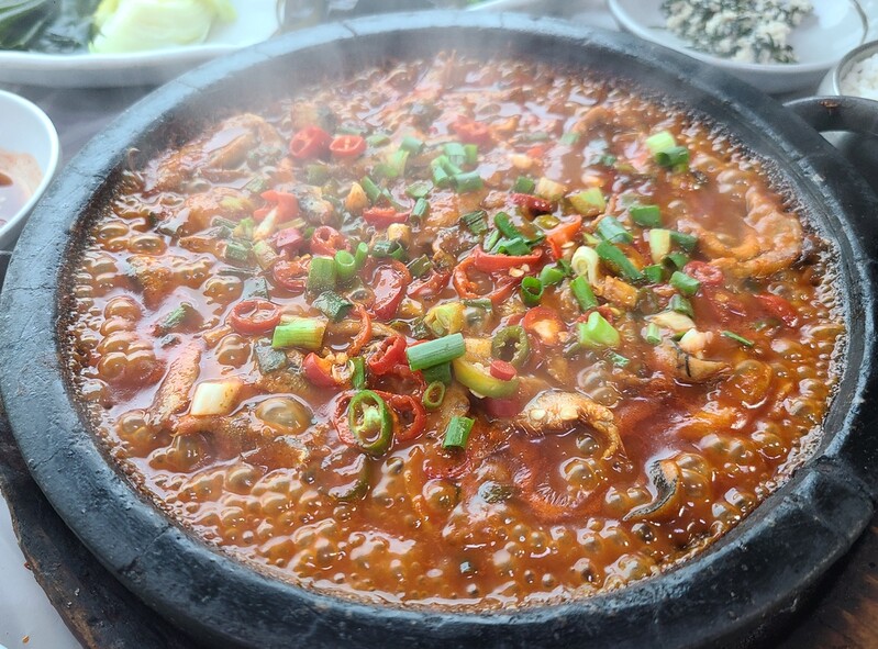 [알쏭달쏭 바다세상Ⅲ](9) 입에 닿는 순간 녹아버린 기장멸치, 쌈밥과 회로 만나다