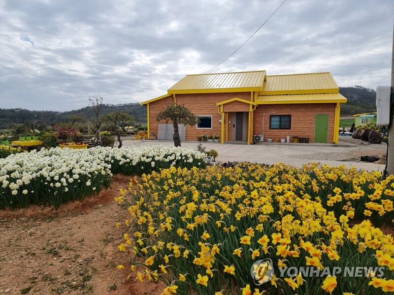 '수선화의 섬' 신안 선도, 1호 갯벌국립공원을 꿈꾼다