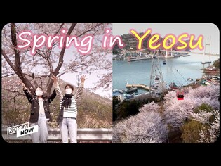 Visit the hidden gem of Korea, Yeosu! Full of cherry blossoms & amazing foods ????