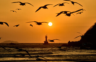 Sunset over the West Sea