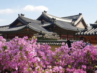 A palace sits on a cushion of flowers