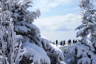 Spring snow in Gangwon Province