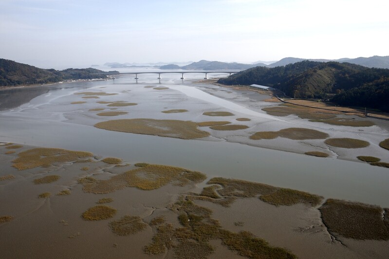 Negative preliminary evaluation casts a cloud over Korean tidal flats for World Heritage