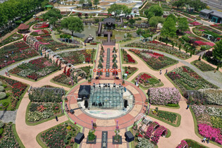 Rose park