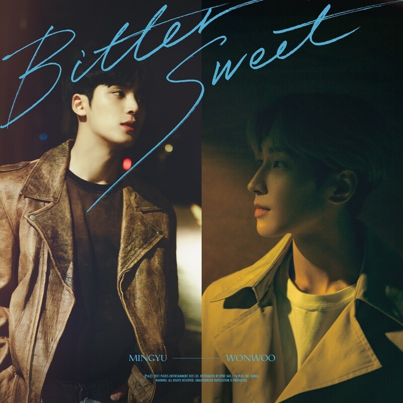 Seventeen's Mingyu and Wonwoo to release 'Bittersweet' as a duo