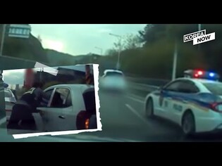 40km car chase... police breaks car window with bare fists