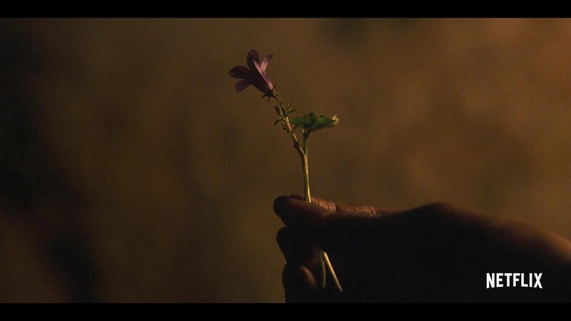 Netflix to release special episode of 'Kingdom' series next month