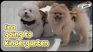 Welcome to 'Puppy Kindergarten'