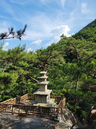 Stone Stupa stands tall in the midst of the thick green woodland