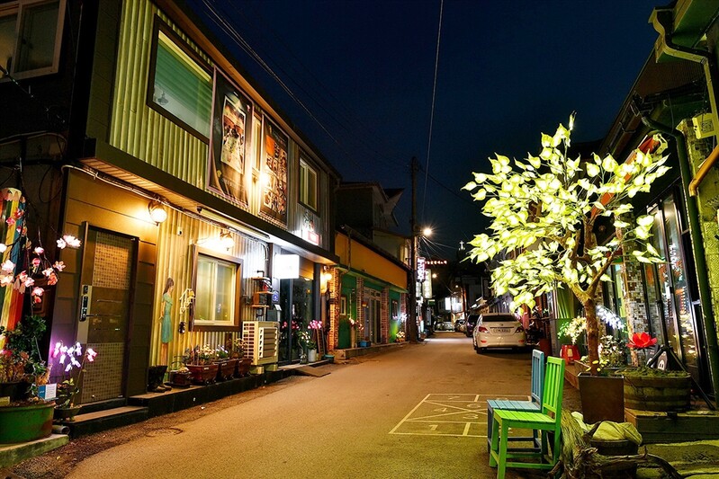 '일상으로 돌아가는 길' 정선 고한 골목길 정원박람회