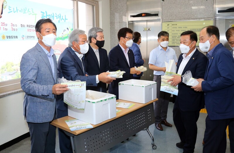 홍천찰옥수수축제 23일 개막…드라이브 스루 판매