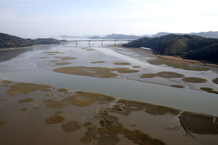 Tidal flat listed as world heritage