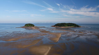 Tidal flats in South Korea listed as world heritage