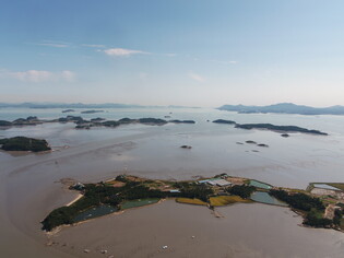 Tidal flats in South Korea listed as world heritage