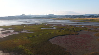 Tidal flats in South Korea listed as world heritage
