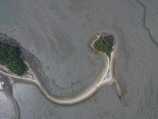 Tidal flats in South Korea listed as world heritage