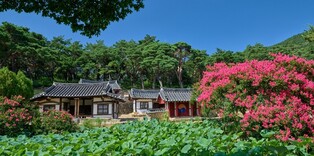 Hanok decorated with baegilhongs and lotuses