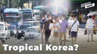 What’s up with Korea’s weather these days?