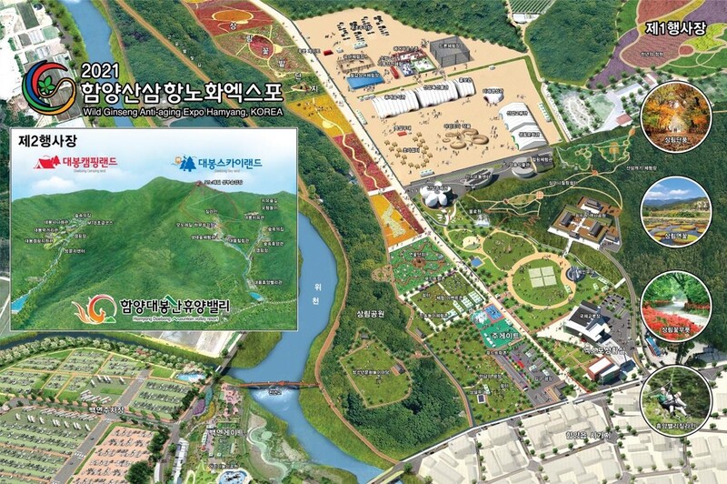 '전국 심마니 모여라'…함양산삼엑스포, 산삼특산물관 운영