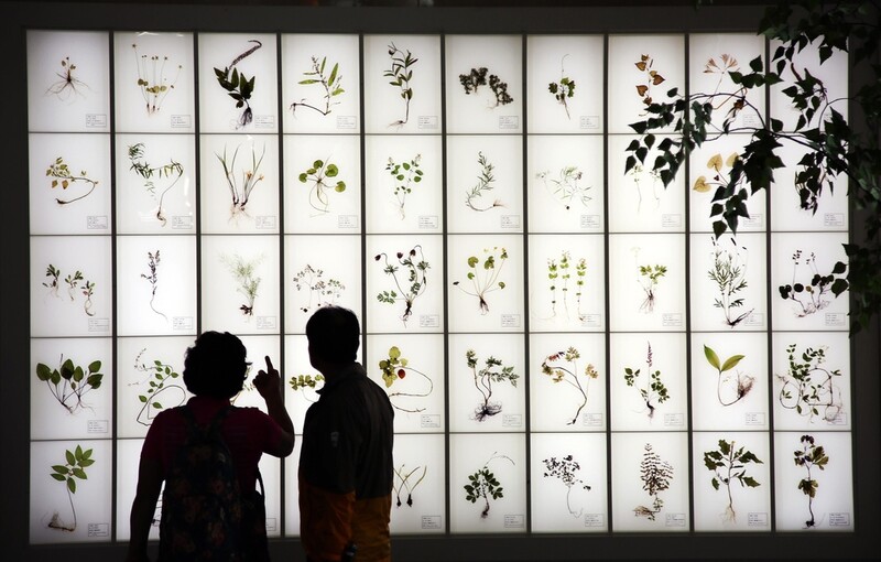 산청한방약초축제 온라인으로 전환…전시·체험 모두 취소