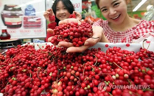 문경 오미자축제 '드라이브 스루'로 진행