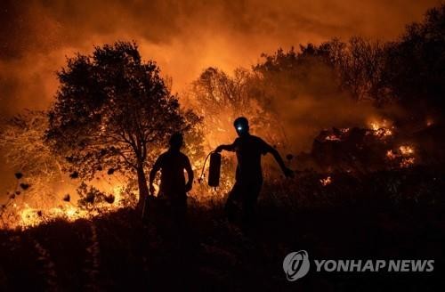한국서 기부한 묘목으로 '한·터 우정의 숲' 조성