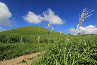 Jeju Oreum in Autumn