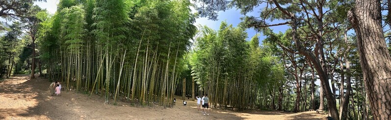 [imazine] 대한민국 구석구석, 영화가 되다 ② 부산 기장 아홉산숲