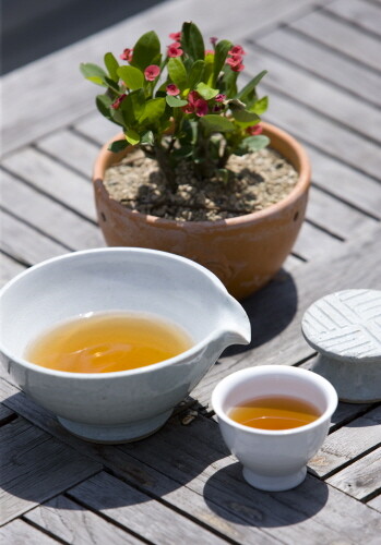 하동세계차엑스포조직위, '하루 한 잔 차 마시기' 릴레이 캠페인