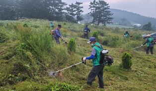 [K-Geography] Tidying up tombs ahead of holiday