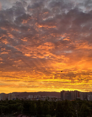 Morning glow